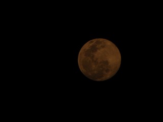 92EF1368-8CFF-446E-86BF-63982DE953C4/L0/001
