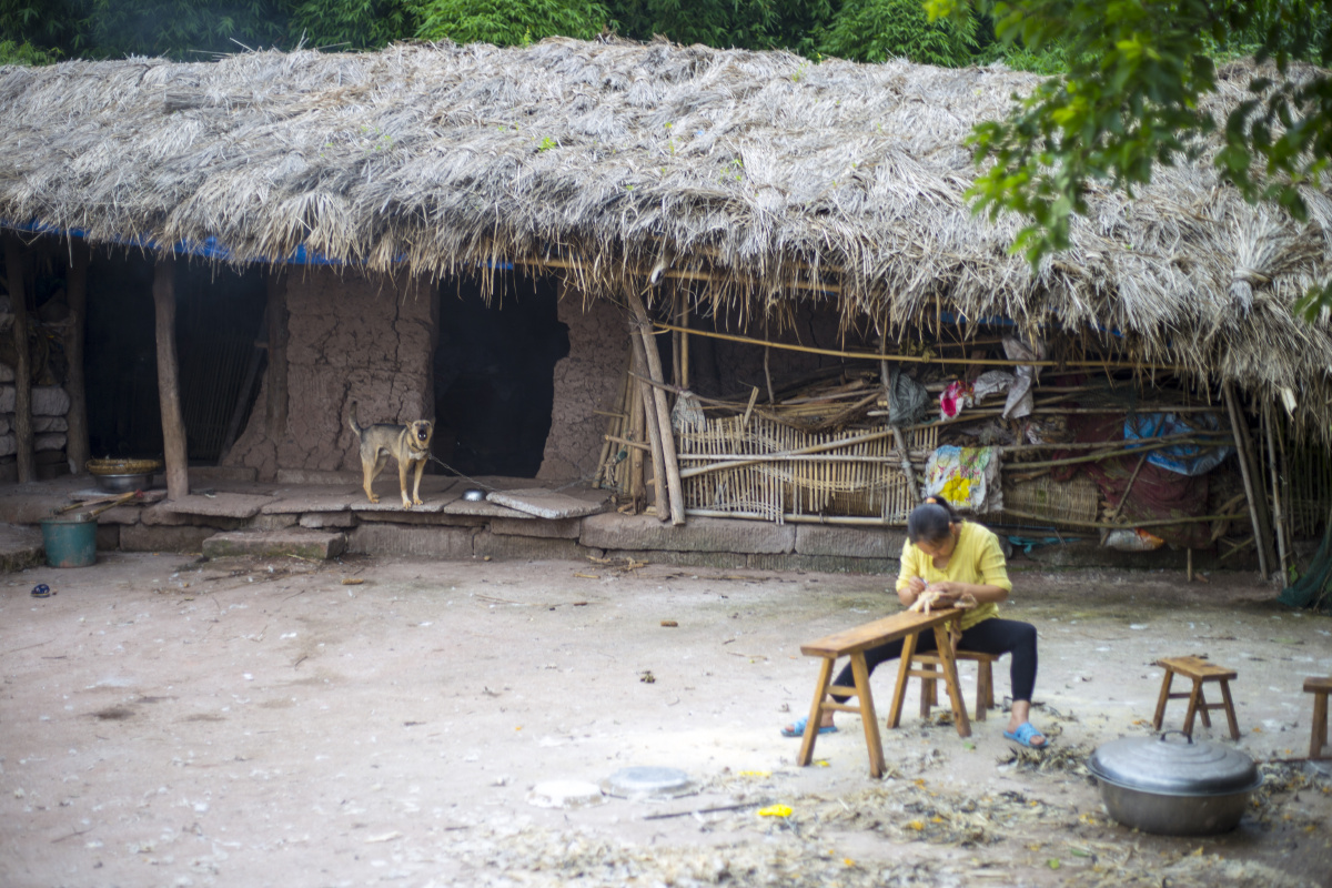 穷人低收入生存线农村儿童留守儿童土墙房没有门的房子杀鸭小猫土狗