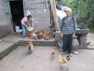 蔡俊