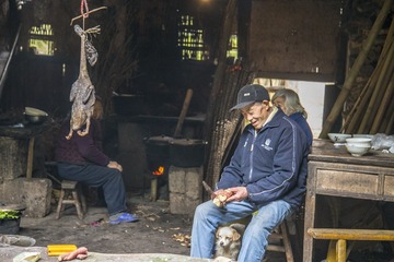 鸭子放起霉，只为等儿女们吃团圆饭