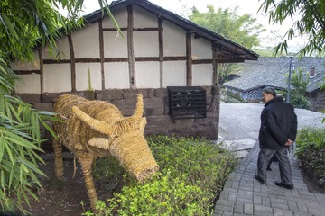 草把龙