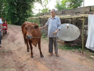 郑永连