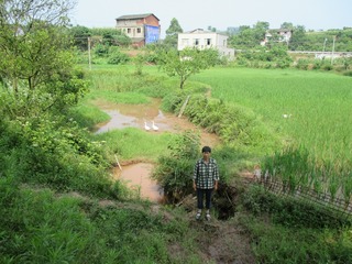 向提英