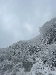 86AA5A44-627C-47E6-8965-13070B1185ED/L0/001