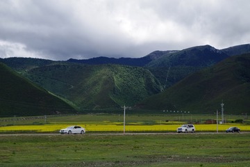 45006