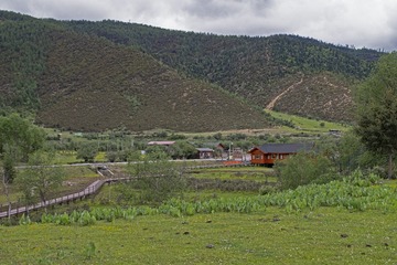 45024