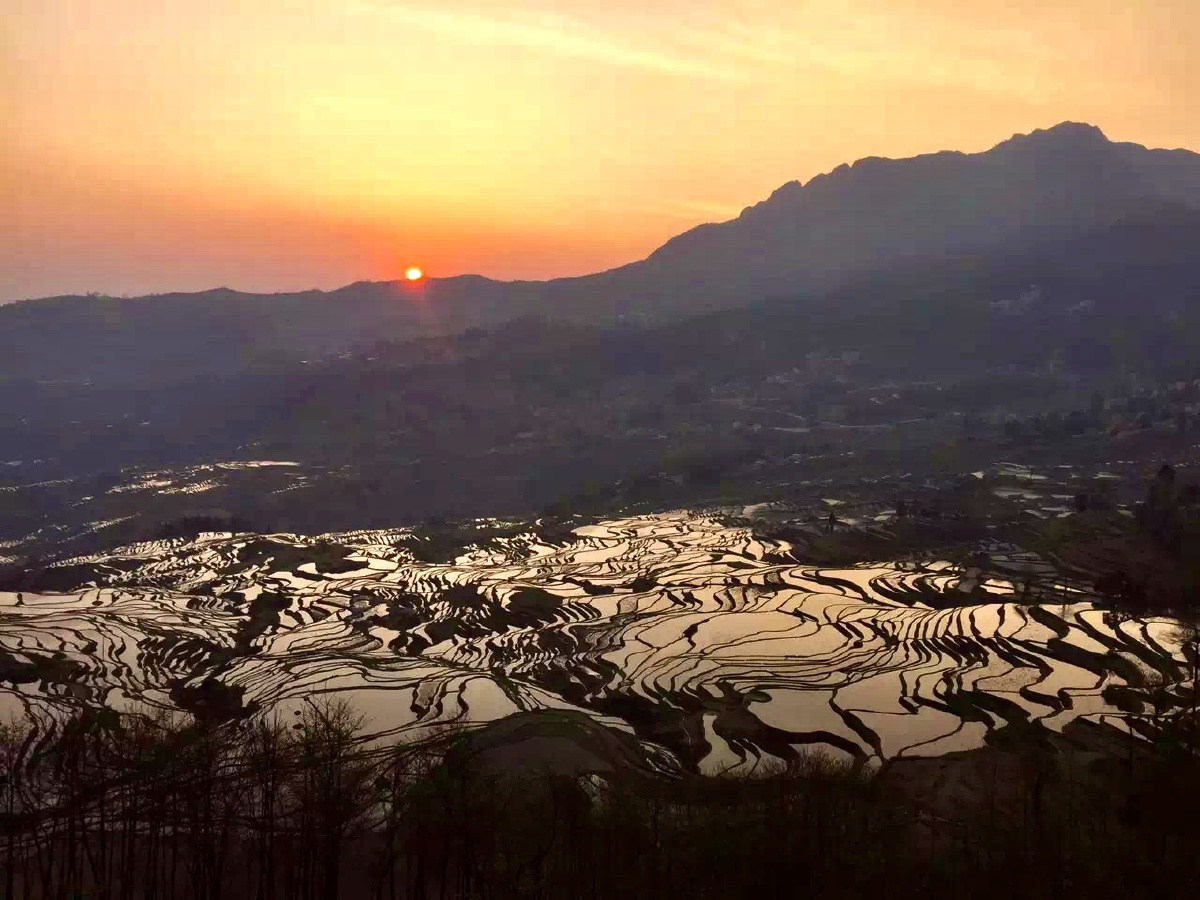 元阳梯田日出