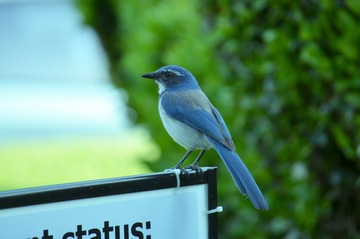 DSC_0083.jpg