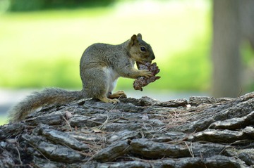 DSC_0170.jpg