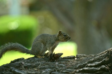 DSC_0171.jpg