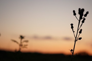 00541934-684E-4B53-A918-8D7D7B2AC109/L0/001