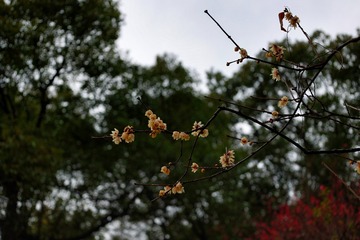 CC8F4F32-7384-4179-8F66-D66D6483EA45/L0/001