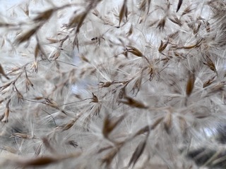 A7E42AC3-3361-4D87-924D-EF6EEA14CB97/L0/001