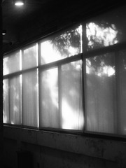 F6907A14-6500-4EE9-A9A0-64DAF502D13B/L0/001