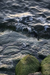 3065FD14-8A16-42E0-9710-F7BC898EF679/L0/001