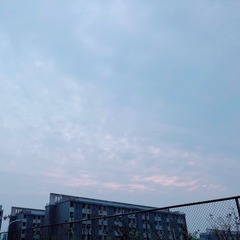 466AA495-B758-4EE3-917C-6269E5D22A5B/L0/001