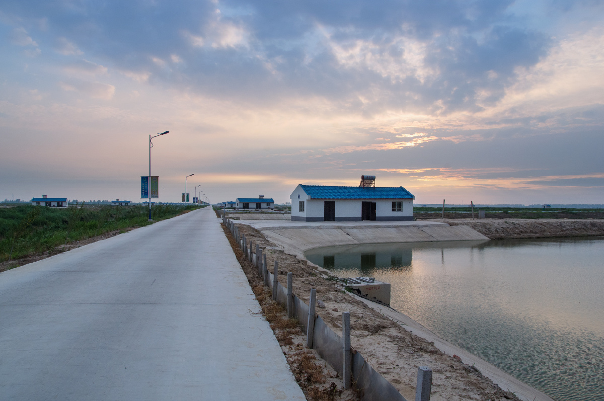 上海飞地海丰农场