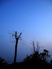 DSCN1076.jpg
