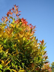 DSCN7155.jpg