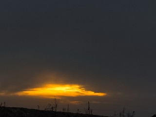 2781152