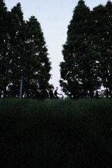 665A5BEC-EC5D-438F-A8B1-8FA7A8594019/L0/001