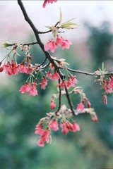 A803858A-AEA0-43A5-AB83-E258F02BA6D8/L0/001