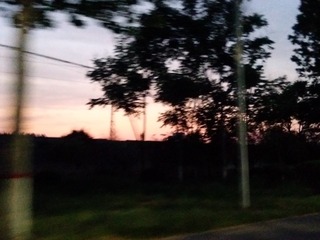 1208175