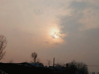1205447