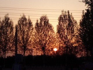 1206086