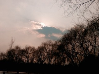 1202909