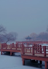 FB3C1840-C3C0-4B37-80B6-2E806B3C2538/L0/001