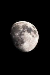 542626