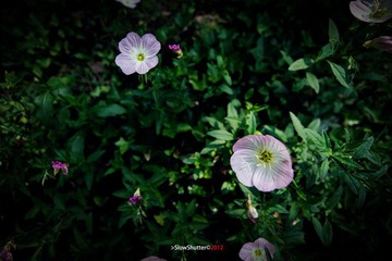 “IMG_4143”为智能对象-1-1.jpg