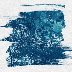 E3E03AB3-1F8A-4CA9-8B8F-69AA2299B6B3/L0/001