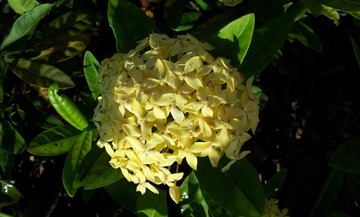 89C8772D-E181-4571-BB3D-F4BBC8E574B0/L0/001