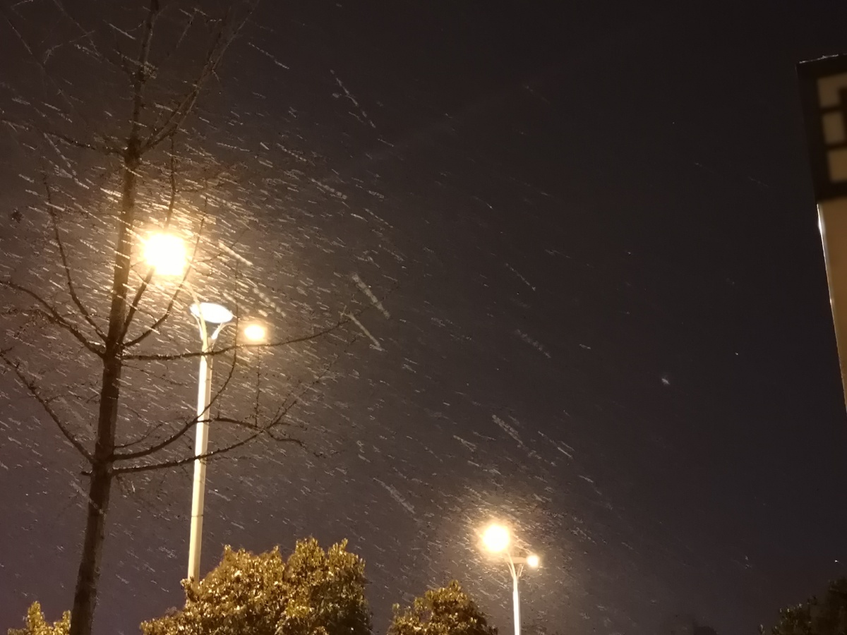 路灯雪纷纷