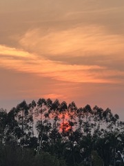 4F7AE0BA-44C6-4169-BB65-9838C7C721CC/L0/001
