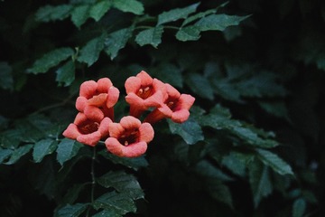 529B6BD6-CEC2-49F2-89E9-FF3CBD898258/L0/001