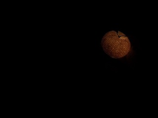 DBBB5384-150B-41E0-92B0-B9AEFCED0150/L0/001