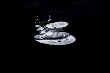 2543745