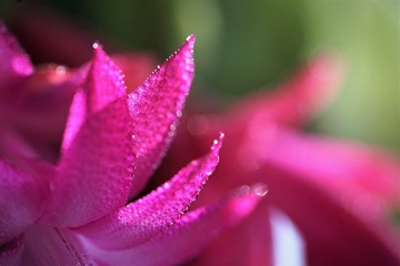 6C174942-263C-46A3-859A-CDE231BC34F3/L0/001