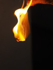 343039