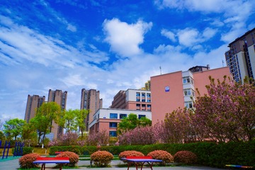 65E746A0-A77C-4762-A635-0CD5C6D2AD85/L0/001