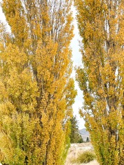698838D8-4F73-4639-BA49-5871406FB154/L0/001