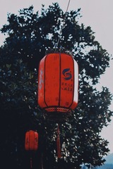 05280339-85C6-46F0-8AEF-A16AE4B7A6AD/L0/001