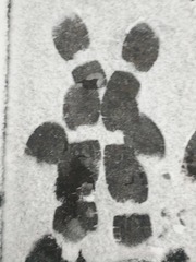 253385
