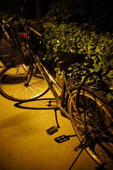 重医缙云 夜<br />
