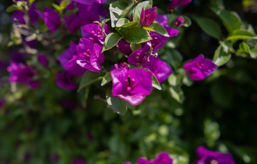 E3CB3465-09F9-43DB-9E69-425192B3E87C/L0/001