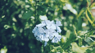 620B38EE-5086-48EB-9968-5CF21D0035B9/L0/001