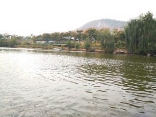 5D4940D3-FBE6-48D2-8D15-926537A4AB0D/L0/001